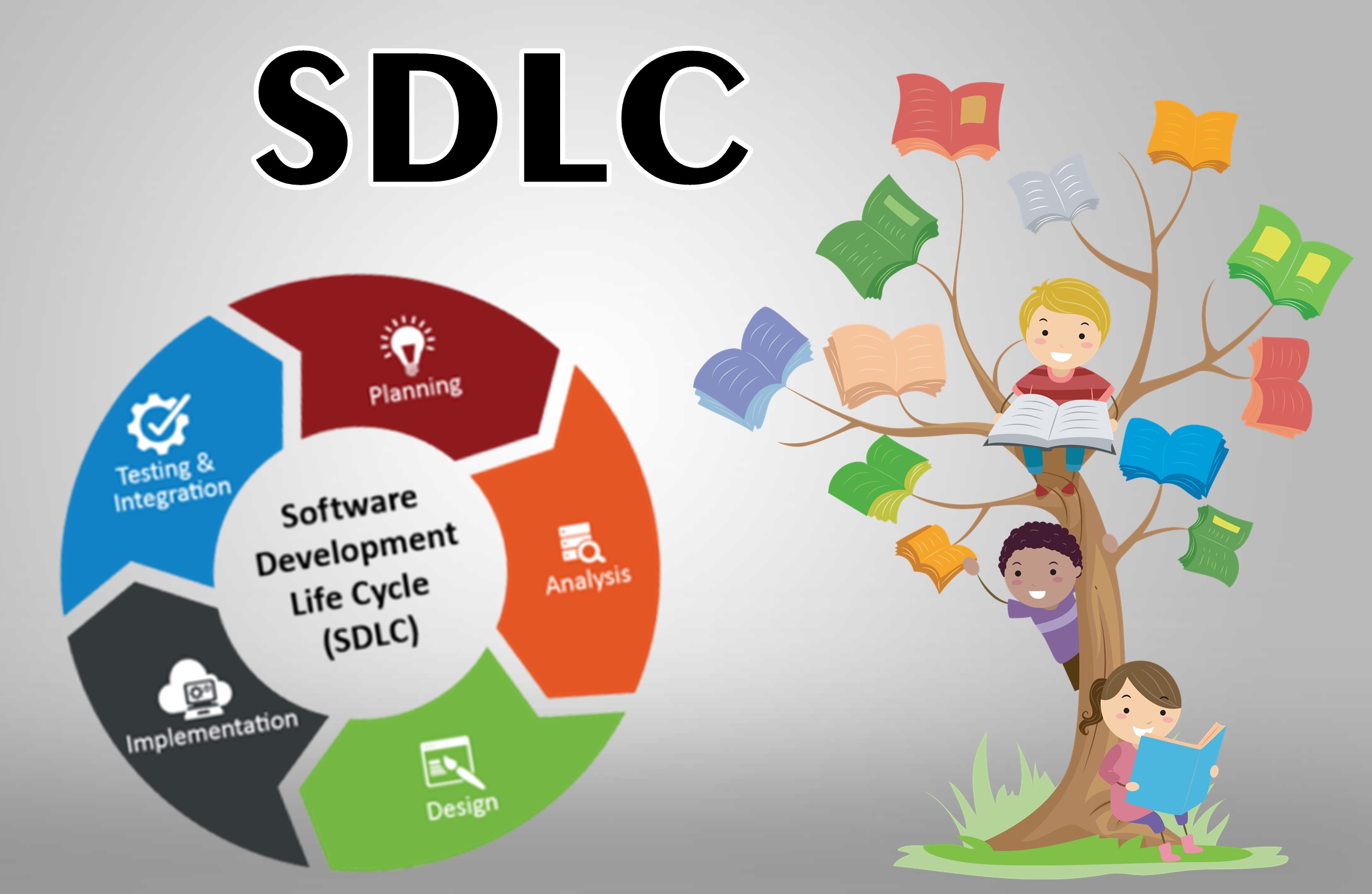 What Is Sdlc What Are The Phases Of Sdlc - vrogue.co
